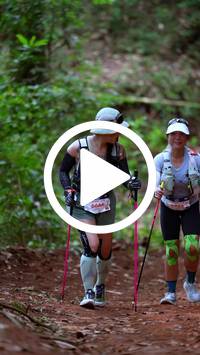 BIB:  <button type="button" onclick="openModal(27515426)" class="btn btn-primary btn-sm float-right" data-toggle="modal" data-target=".modal-high-quality">
                <i class="fa fa-download"></i> Download
                </button>